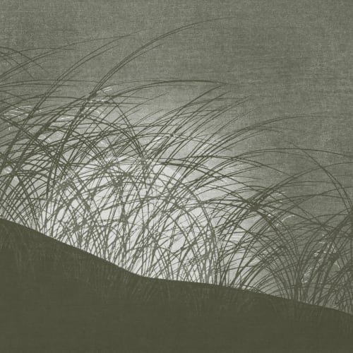 Grønt fototapet i japansk naturkunststil