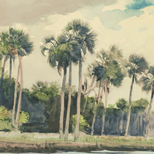 Chusan Pastell akvarell palme fototapet av Winslow Homer