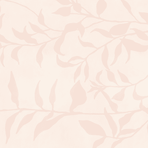Pink Olive Tree Branch Mural