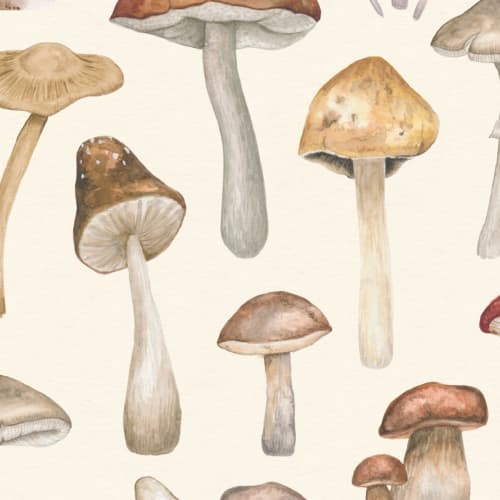Painted Mushroom Repeat Pattern Wallpaper