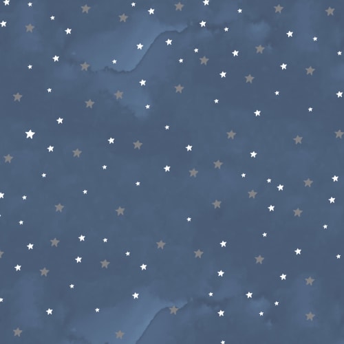 Papier Peint Panoramique Ciel Nocturne Étoilé