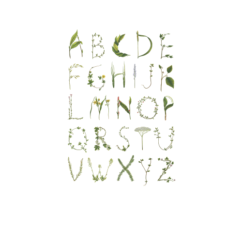 Alphabet wallpaper