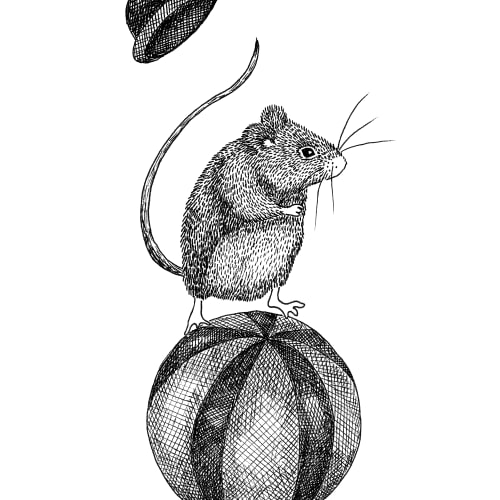 Circus Animal, Maximus