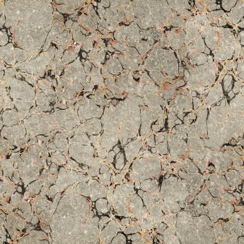 Jordnära elegans