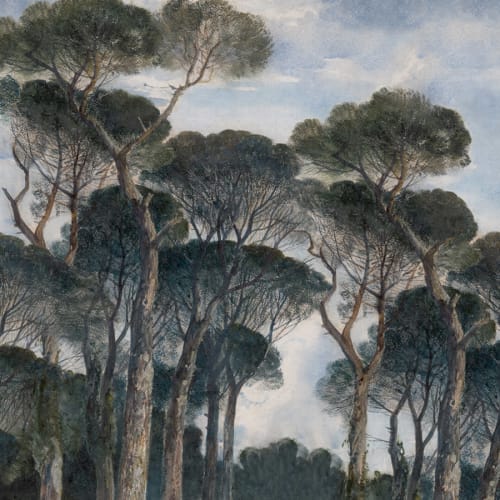 Pini eleganti