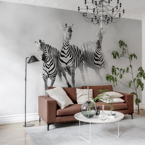 Graphic Zebras