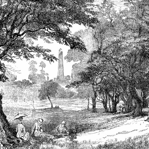 A Walk in the Park