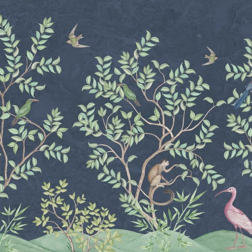 Beautiful Birds and Playful Monkeys