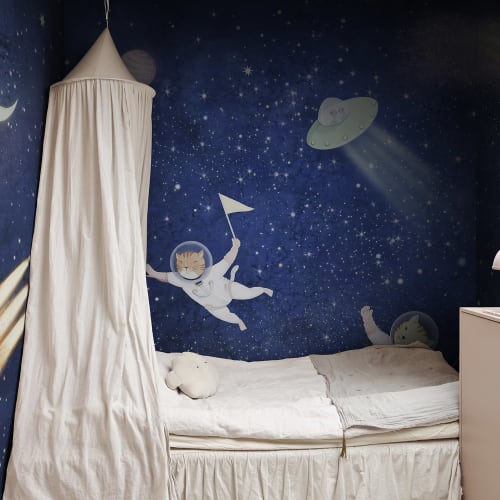 Aventures de chat dans l'espace