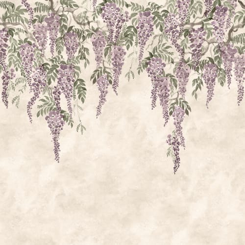 Wisteria Wonder