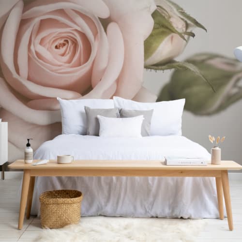 Elegant Pink Petal Rose Wallpaper Mural