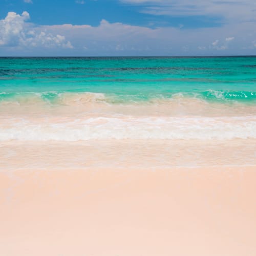 Pink Beach Wallpaper Mural