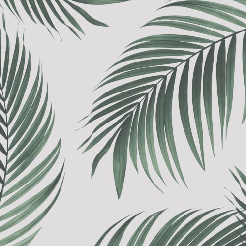 Tropical Palm Fototapet