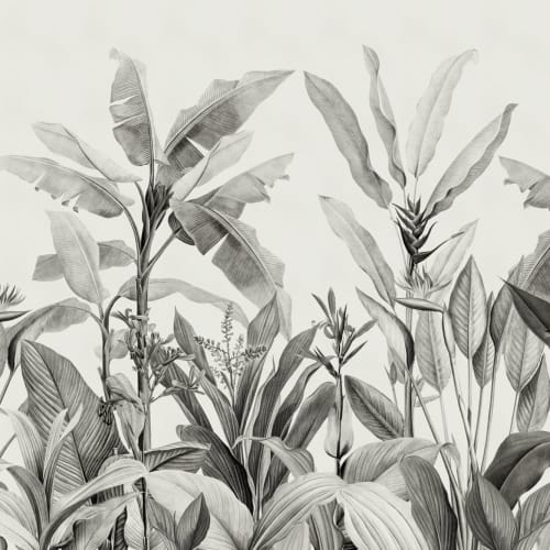 Grayscale Vintage Tropical Plants Wallpaper Mural