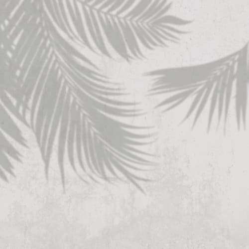 Gray Palm Leaf Shadow Concrete Effect Wallpaper Mural