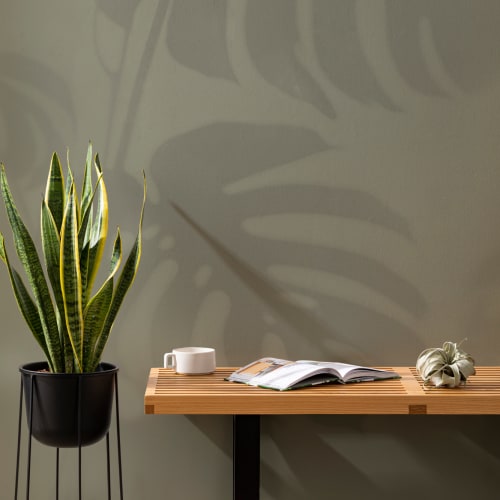 Vihreä Monstera Leaf Shadow kuvatapetti