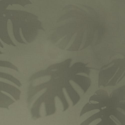 Vihreä Monstera Leaf Shadow kuvatapetti