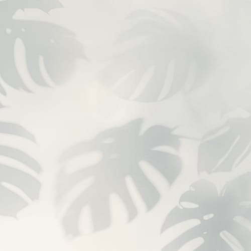 Blue Monstera Leaf Shadow Mural