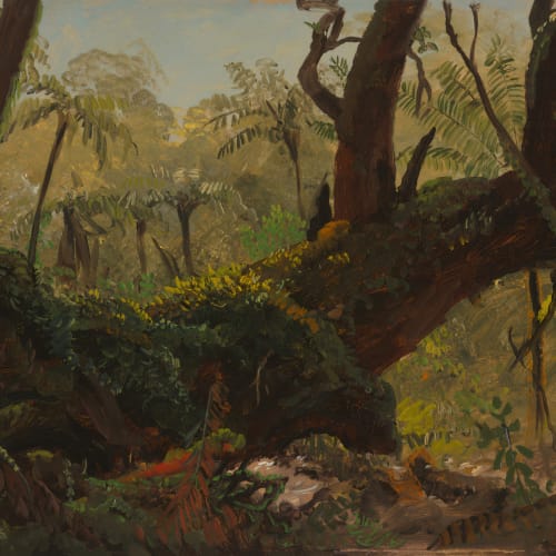 Moset tropisk jungle oliemaleri fototapet