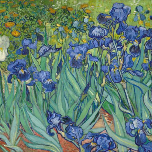 Irises by Van Gogh kuvatapetti