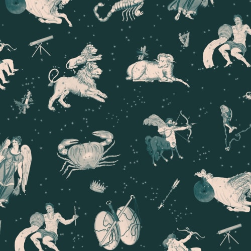 Teal Illustrated Astrological Star Signs Mural