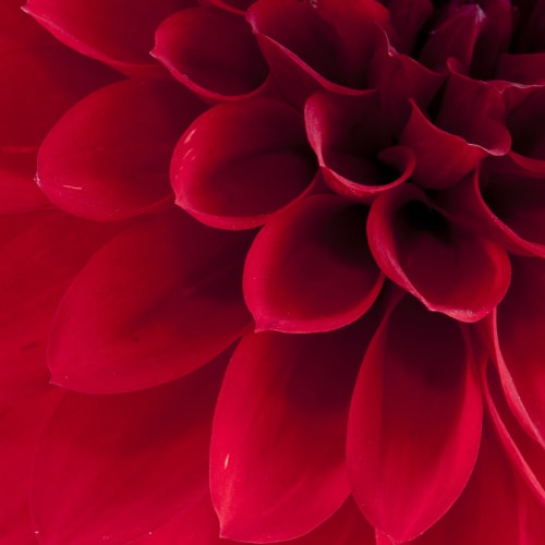 Image Rouge