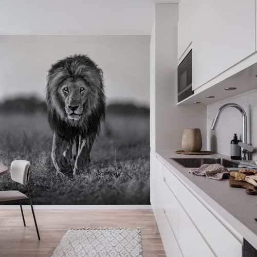 lion mural wallpaper