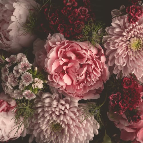 Black & White Dark Moody Floral Wallpaper Mural - Hovia