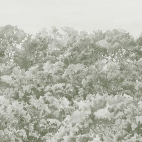 Buttonwood Sage