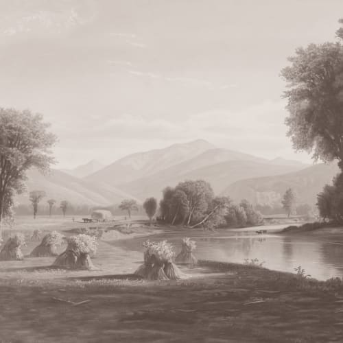 Hayfield Grey