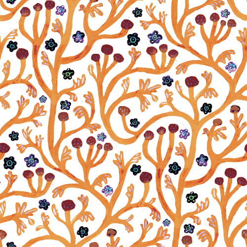 Image Orange