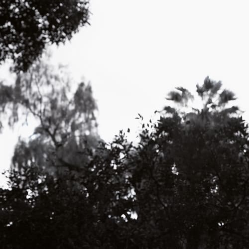 Image Noir