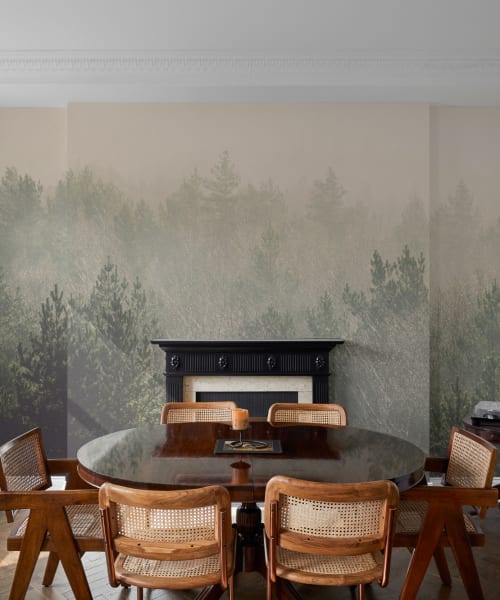 What Is a Wall Mural?