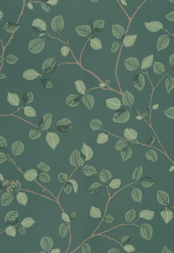 Sage Green Wallpaper Iphone wallpaper green Mint green wallpaper Sage green wallpaper