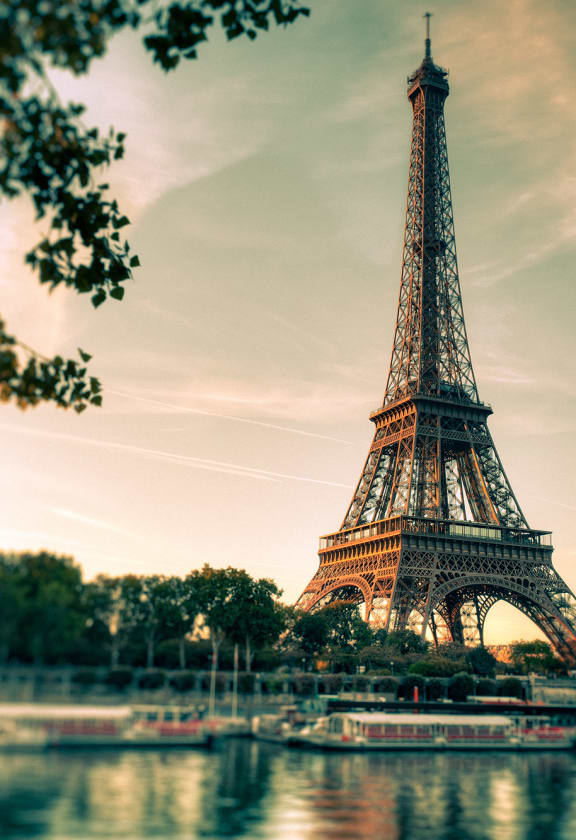Paris - Wallpaper | Rebel Walls Paris - Wallpaper | Rebel Walls