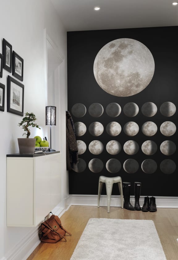 Moon | Rebel Walls