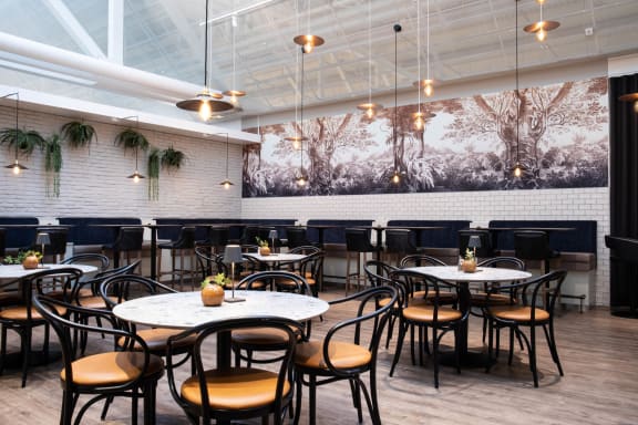Bar & Bistro - Lotnisko Landvetter
