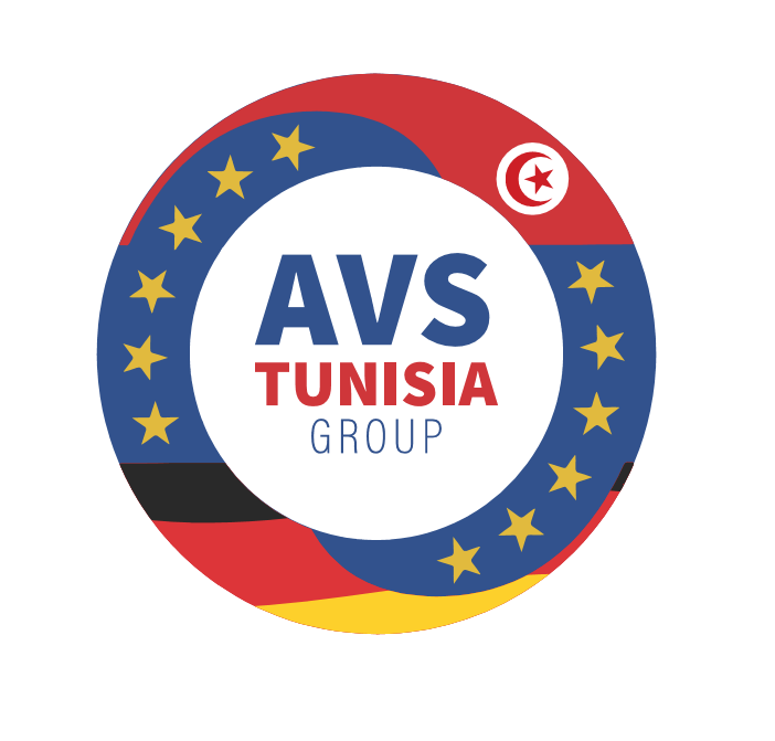 AVS Group