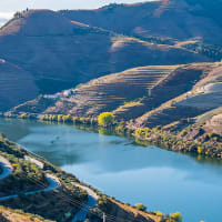Flodkrydstogt p� Douro