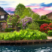 Holland i blomst - Raalte