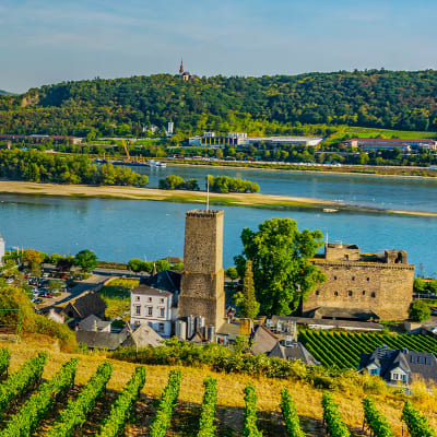 Glade dage ved Rhinen