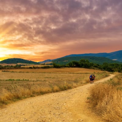 Pilgrimsvandring p Caminoen