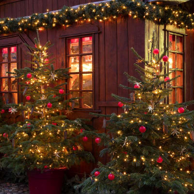 Top-5 over Tysklands dejligste julemarkeder