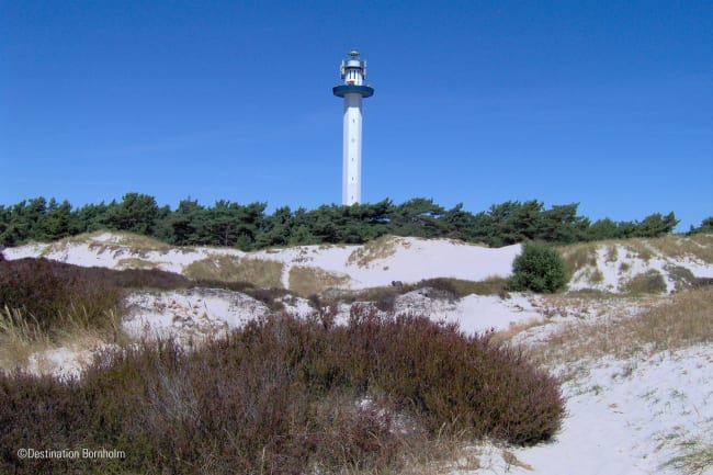 Svaneke - Dueodde - halvdagsudflugt