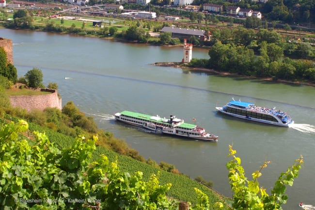 Hyggelig sejltur på Rhinen, vinsmagning og egen tid