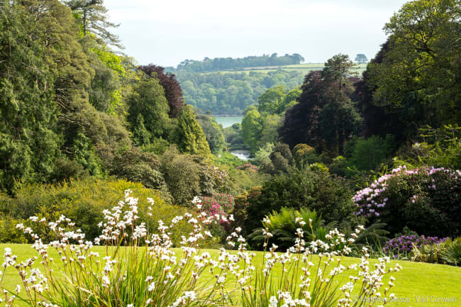 Eksotiske Trebah Garden og Lands End med buldrende brænding