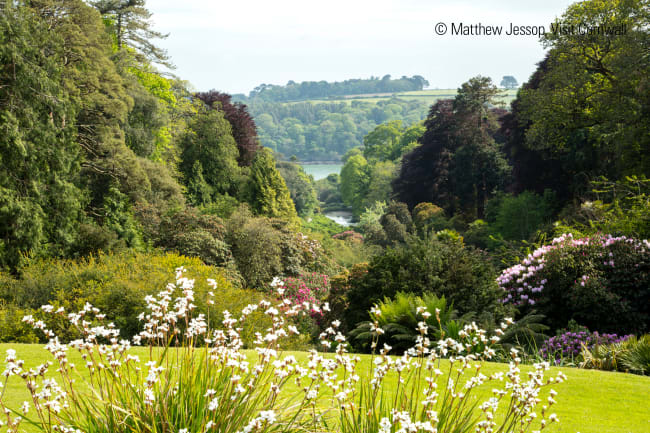 Sydengelsk havekunst og ankomst til hotellet i Bath