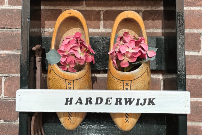 Rejs for�ret i m�de