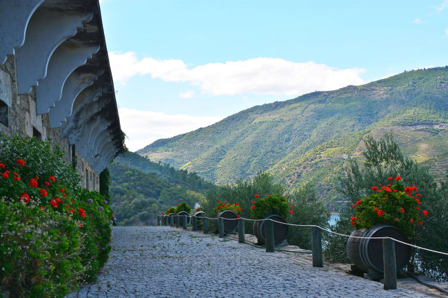 Historien om og smagen af portvin