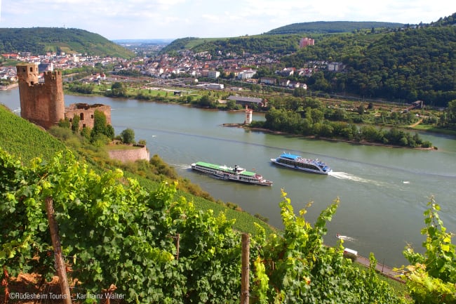Vinvandring og smuk sejltur på den mest romantiske del af Rhinen
